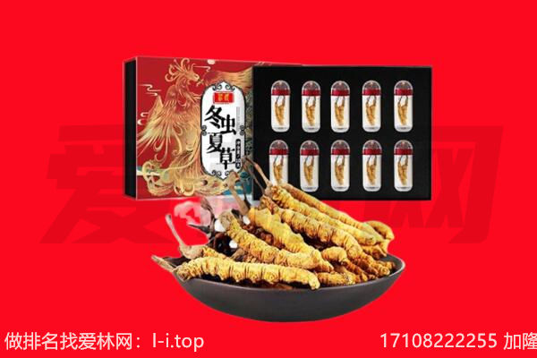 黔东南州岑巩回收虫草.jpg